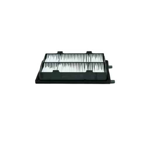 FCA6618